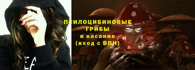 купить наркотики цена  hydra ссылка  Псилоцибиновые грибы Psilocybe  Мичуринск 